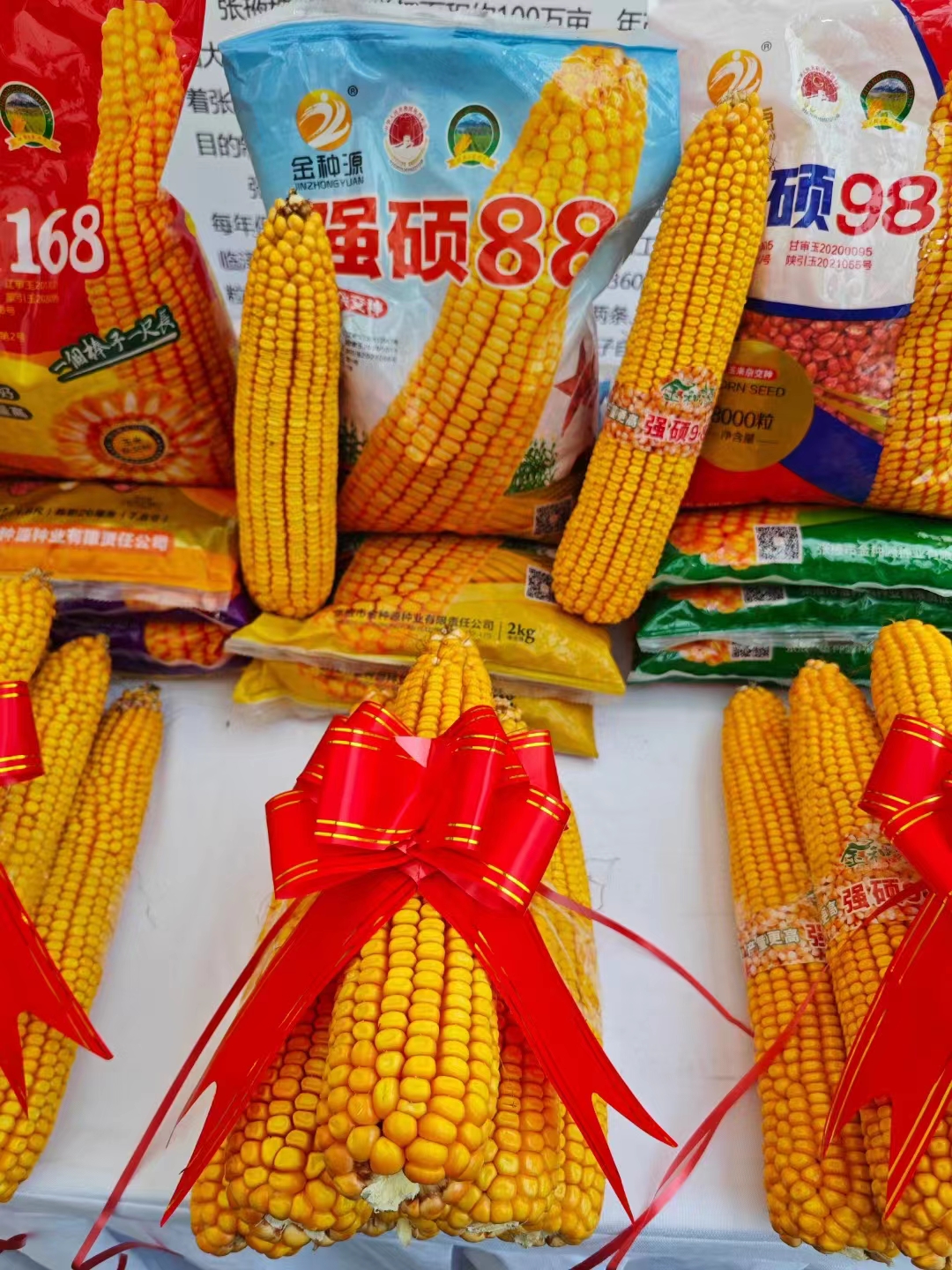 1700038822993060.jpg 46c0ca70a1f79a57536870681918eb6.jpg